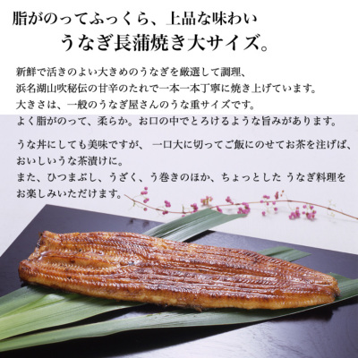 Amazon.co.jp: 浜松・浜名湖うなぎ蒲焼 2人前 長焼き : 食品