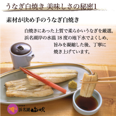 春土用の丑 うなぎ串蒲焼き2人前・カット白焼き1袋詰合せ │ 春の土用