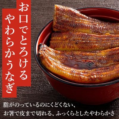 国産 うなぎ串蒲焼き(大アミ)115ｇ×1串～（真空パック） │ 国産