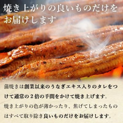 土用の丑【浜名湖山吹】国産 うなぎ長蒲焼き３本 │ 送料無料・送料込